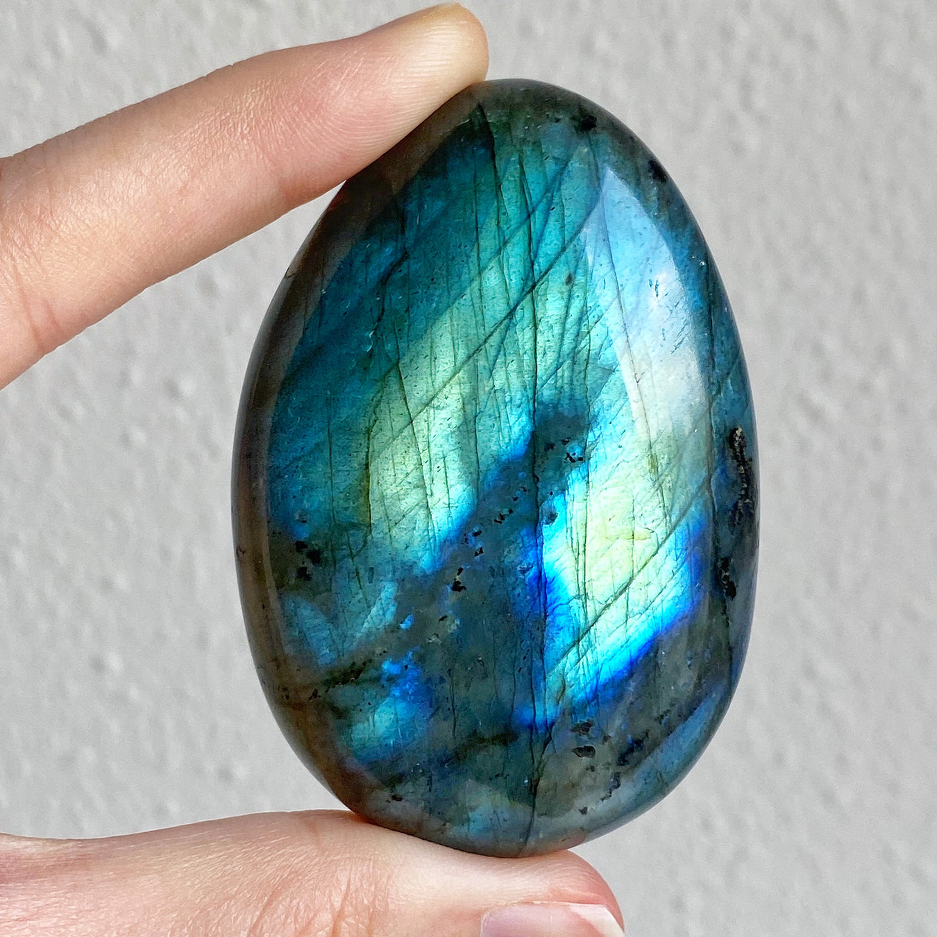 Renewal, Transformation and New Beginnings