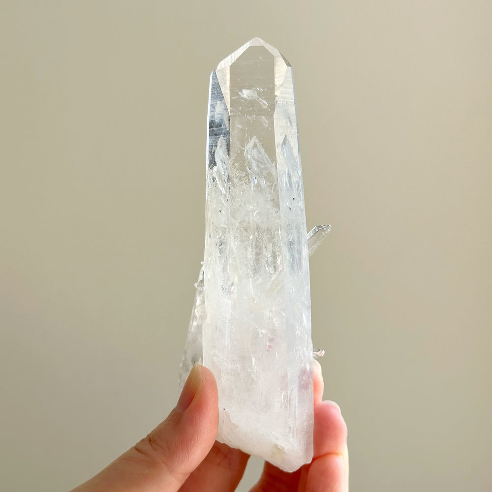 Colombian Lemurian Quartz Point w/ Barnacle Crystal Formation CLQ04