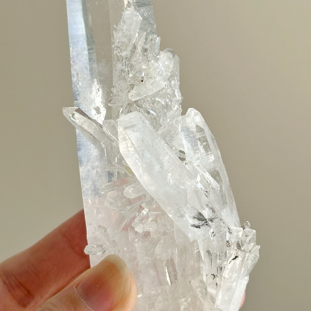 Colombian Lemurian Quartz Point w/ Barnacle Crystal Formation CLQ04