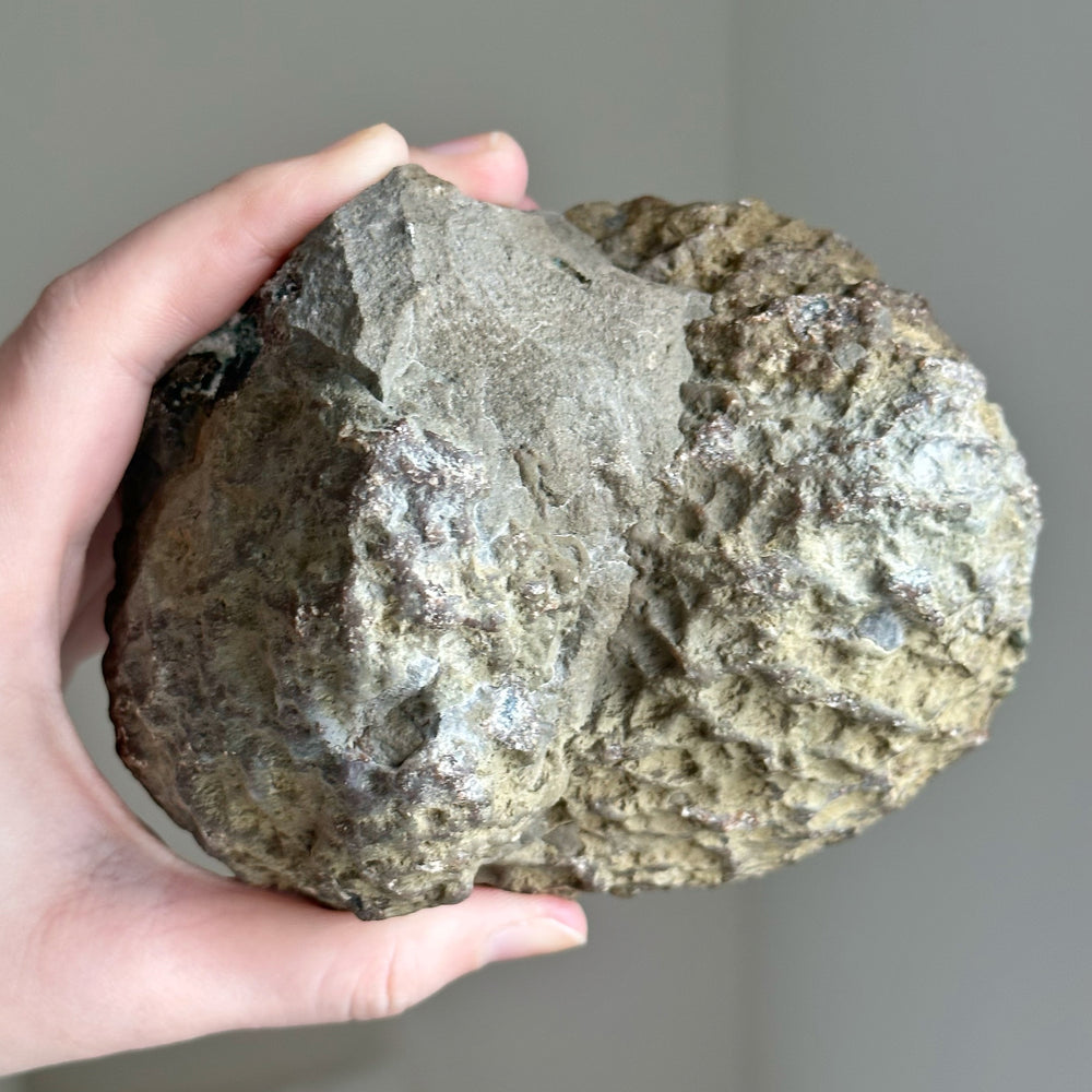 Amethyst Geode AGAB