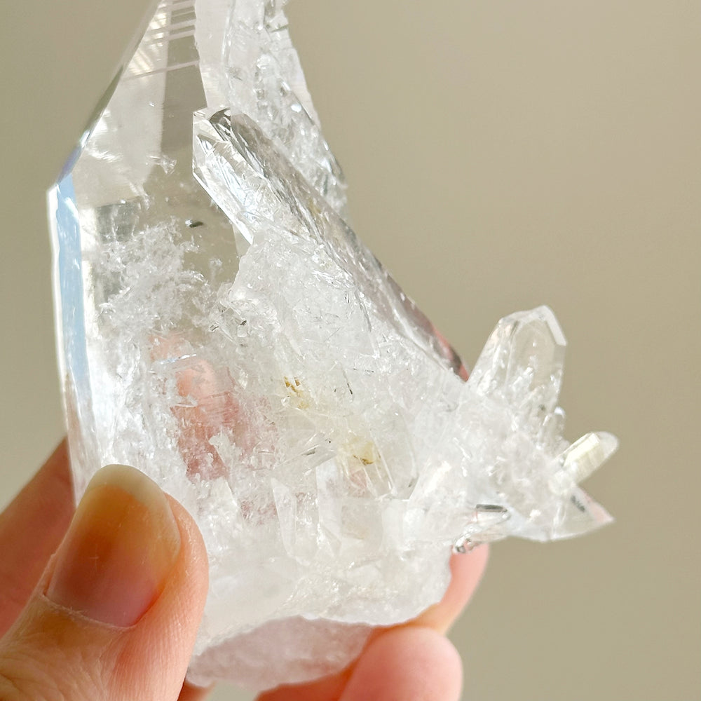 Colombian Lemurian Quartz Point w/ Barnacle Crystal Formation CLQ07