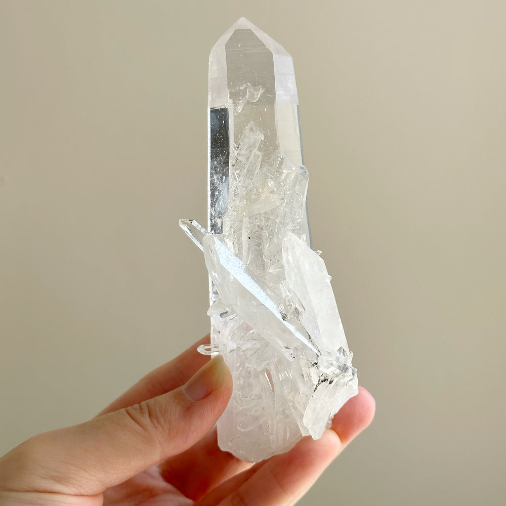 Colombian Lemurian Quartz Point w/ Barnacle Crystal Formation CLQ04