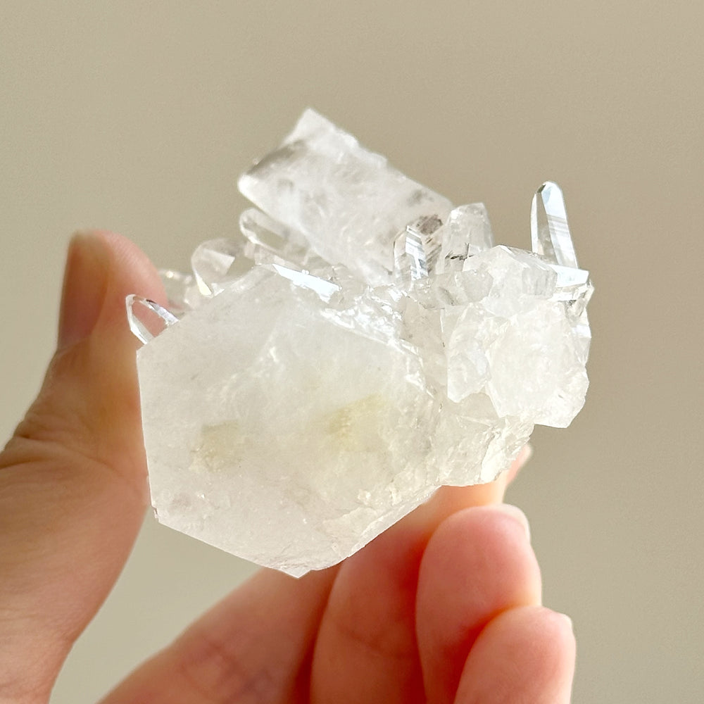 Colombian Lemurian Quartz Point w/ Barnacle Crystal Formation CLQ04