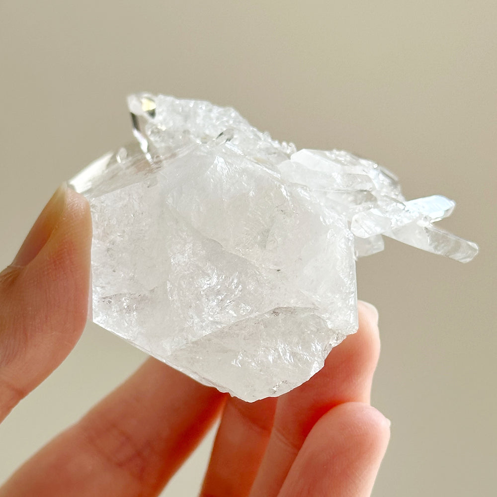 Colombian Lemurian Quartz Point w/ Barnacle Crystal Formation CLQ07