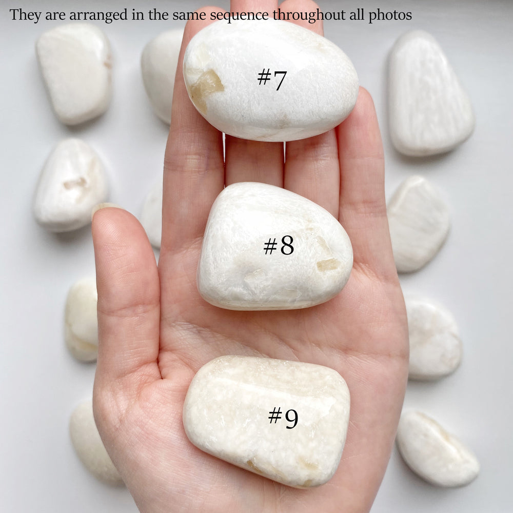 White Scolecite Mini Palm Stones (#7-9)