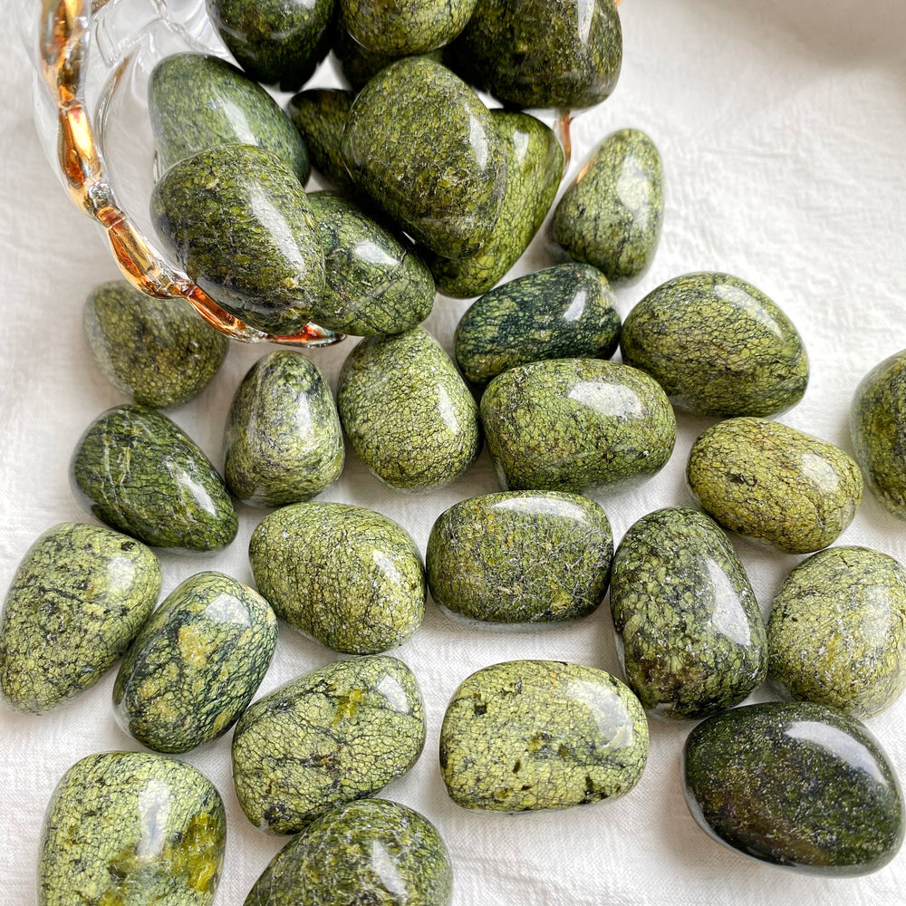 Green Snakeskin Jasper Tumbled Stones