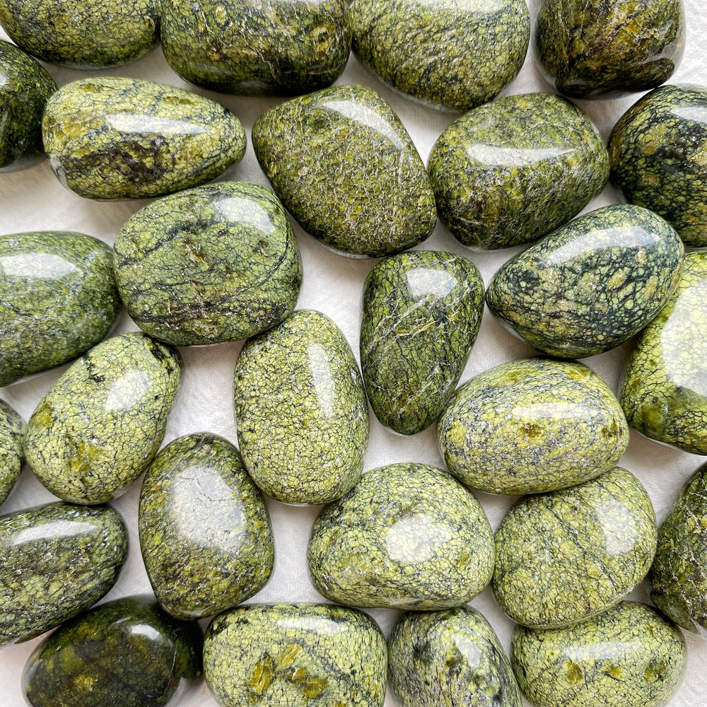Green Snakeskin Jasper Tumbled Stones