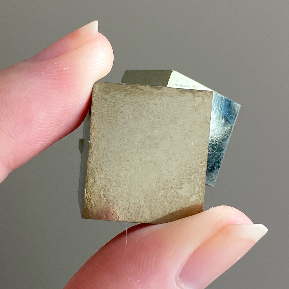 Golden Iron Pyrite Intergrown Cubes MPC31