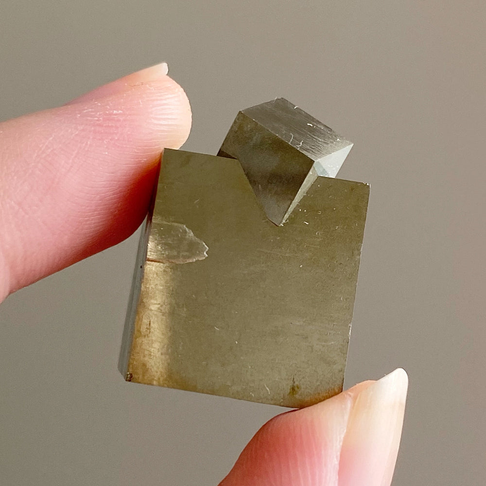 Golden Iron Pyrite Intergrown Cubes MPC33