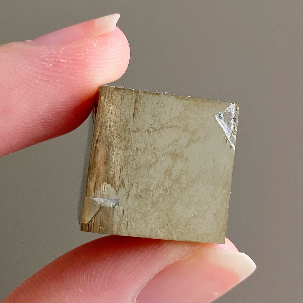Golden Iron Pyrite Intergrown Cubes MPC45