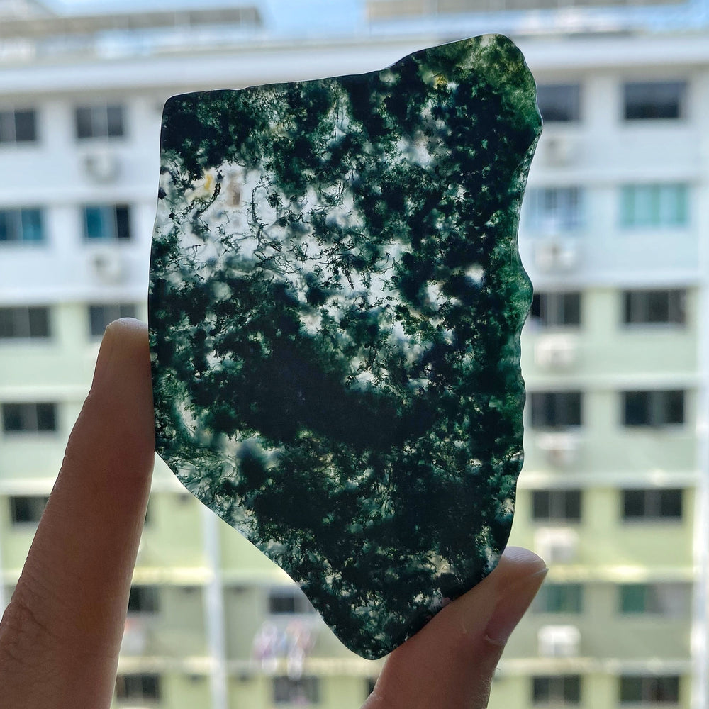 Moss Agate Thin Slab MAS04