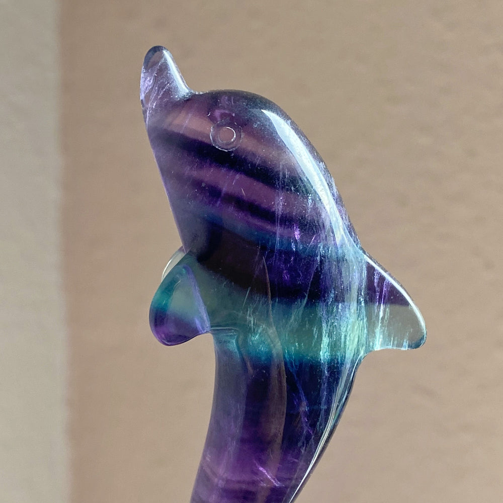 Rainbow Fluorite Dolphin Carving RFD07