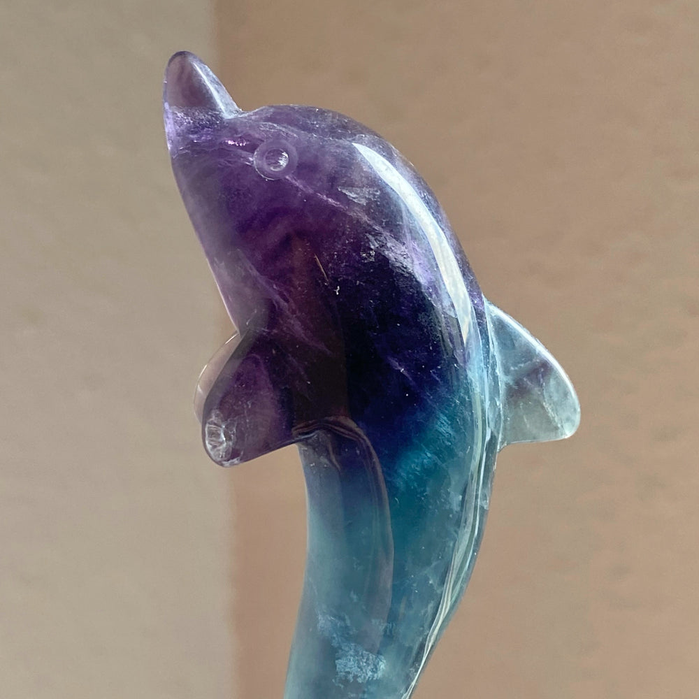 Rainbow Fluorite Dolphin Carving RFD14