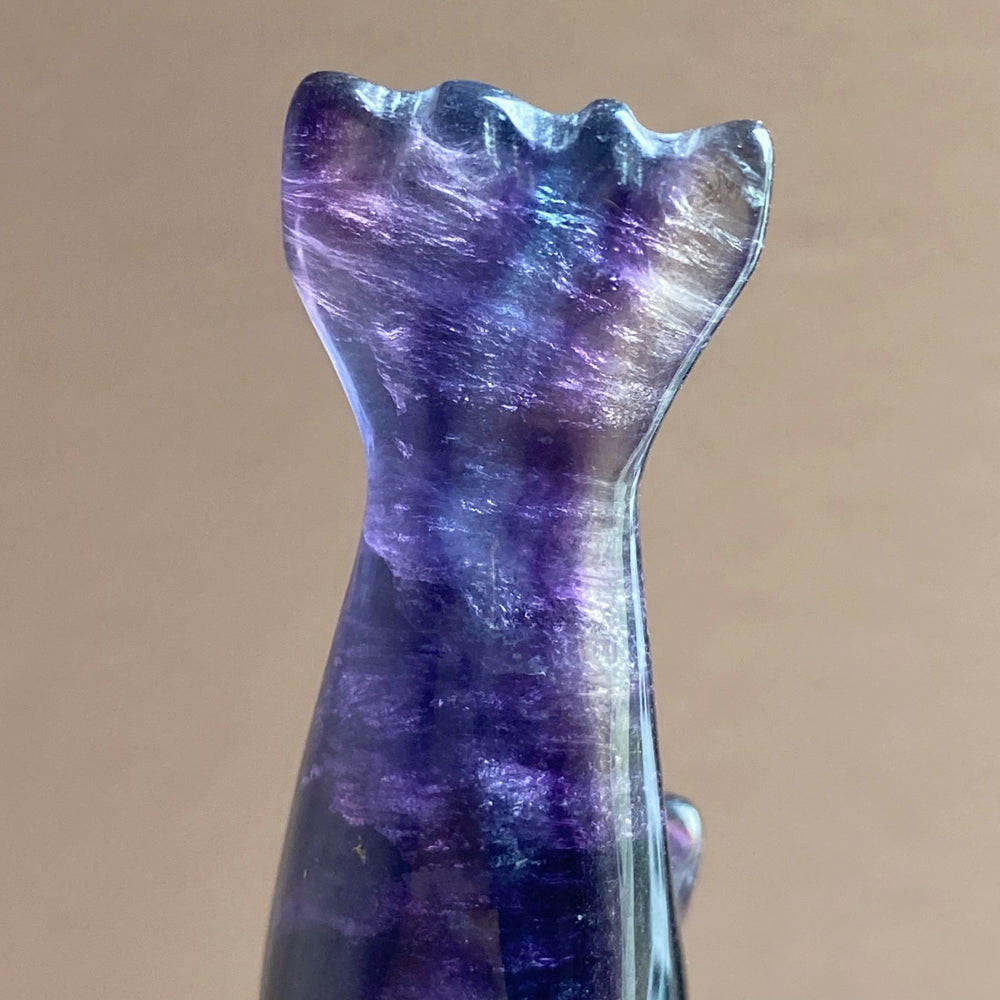 Rainbow Fluorite Dolphin Carving RFD16