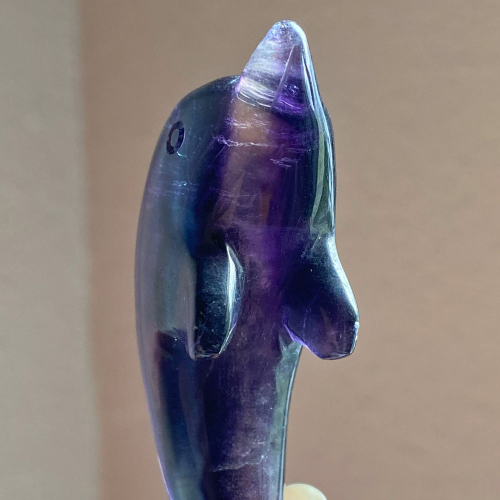 Rainbow Fluorite Dolphin Carving RFD16