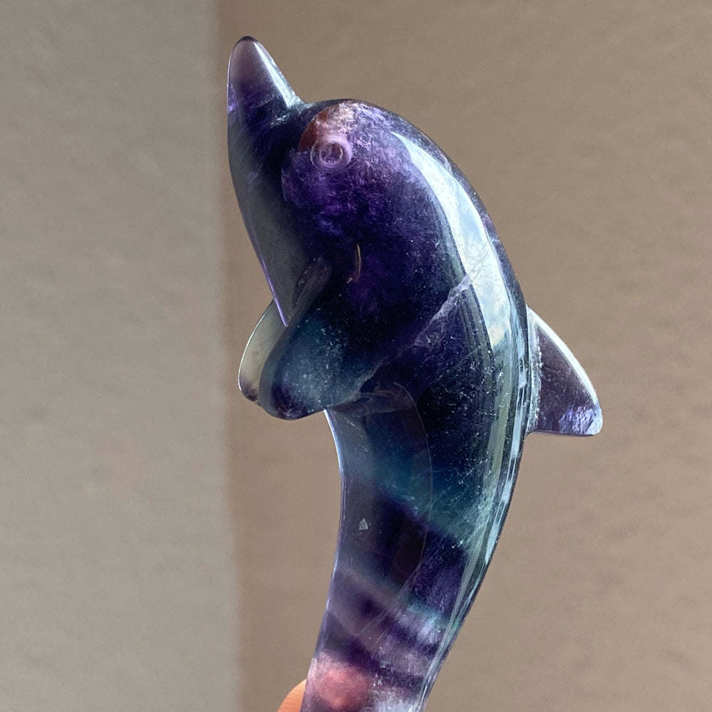 Rainbow Fluorite Dolphin Carving RFD19