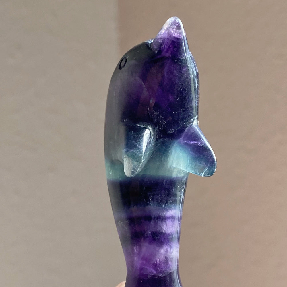 Rainbow Fluorite Dolphin Carving RFD20
