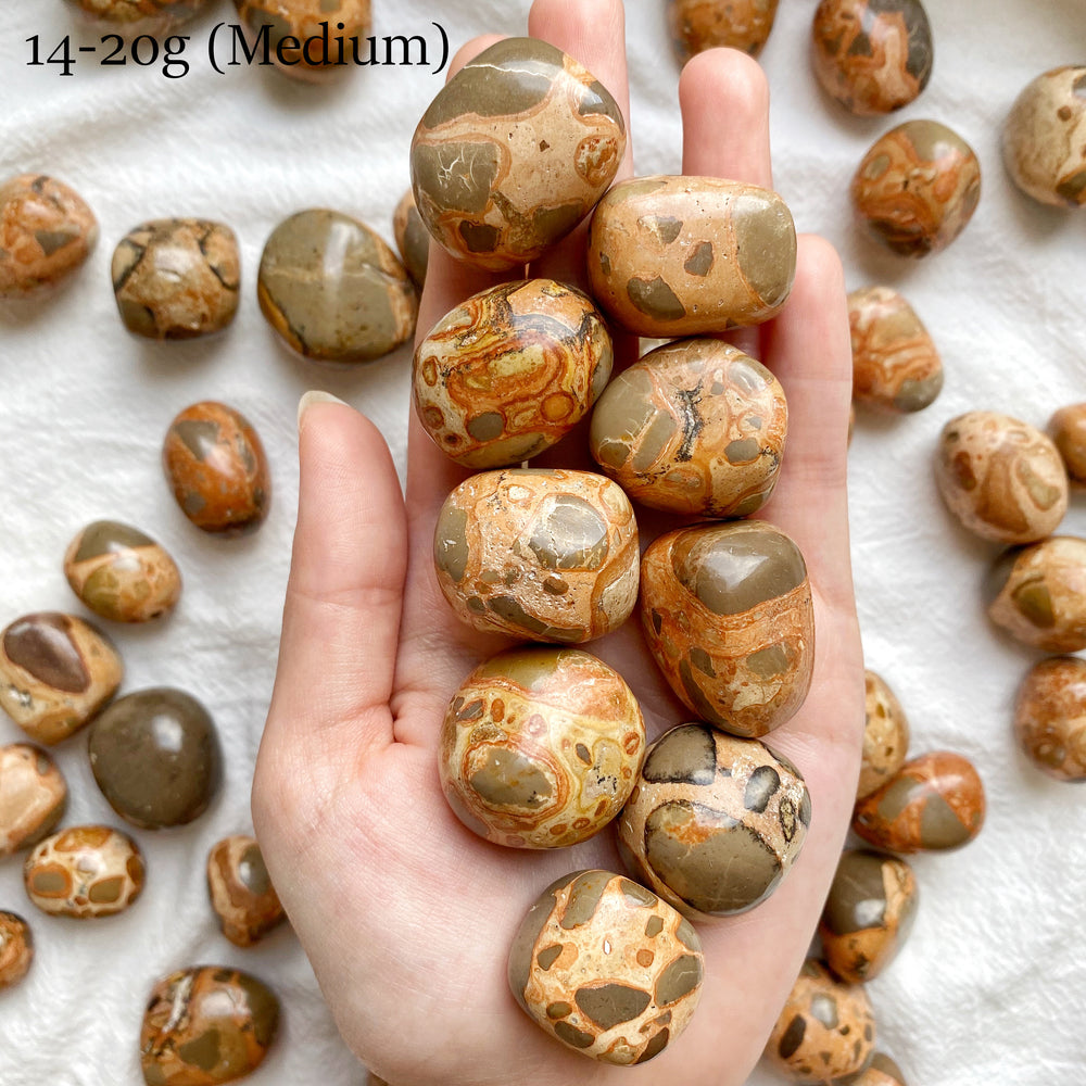 Leopardite Jasper Tumbled Stones