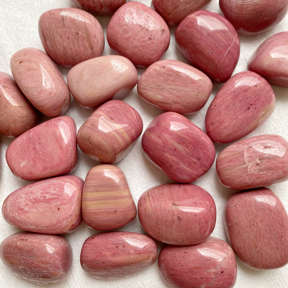 Pink Petrified Wood XQ Tumbled Stones