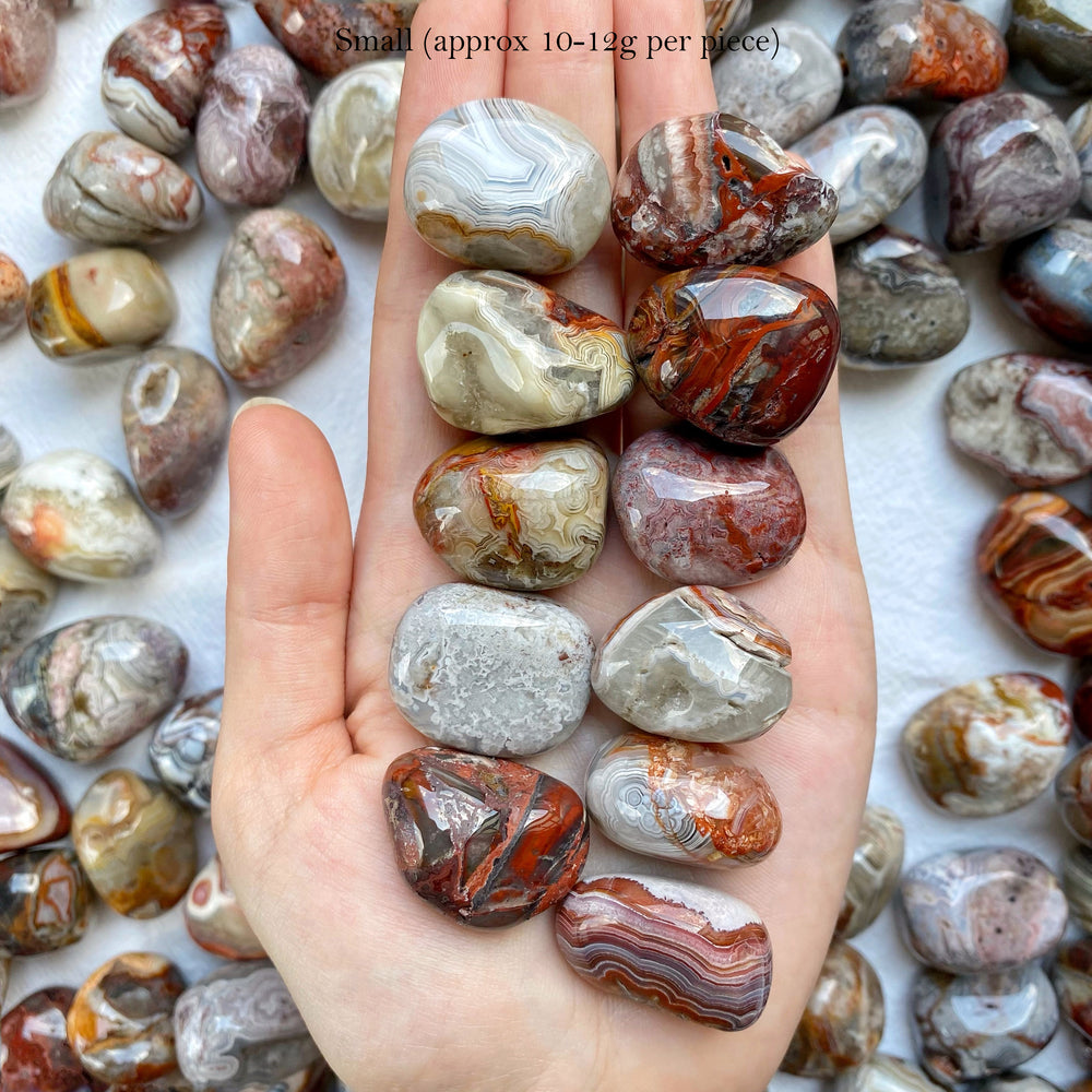 Crazy Lace Agate (Red) Tumbled Stones