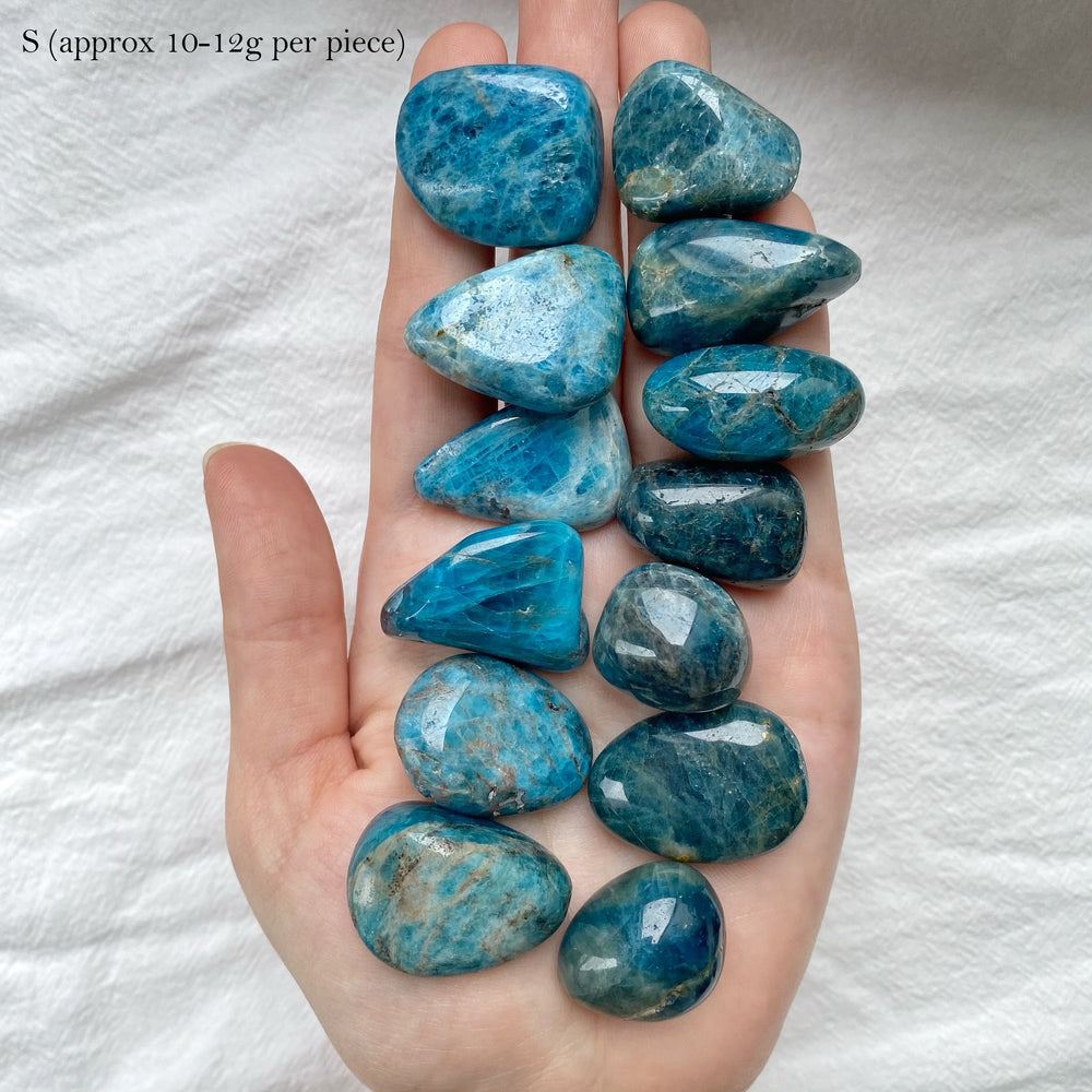 Blue Apatite Tumbled Stones