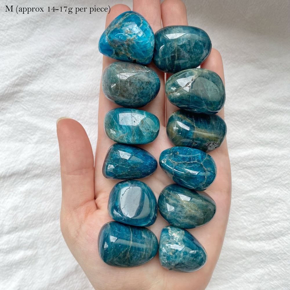 Blue Apatite Tumbled Stones