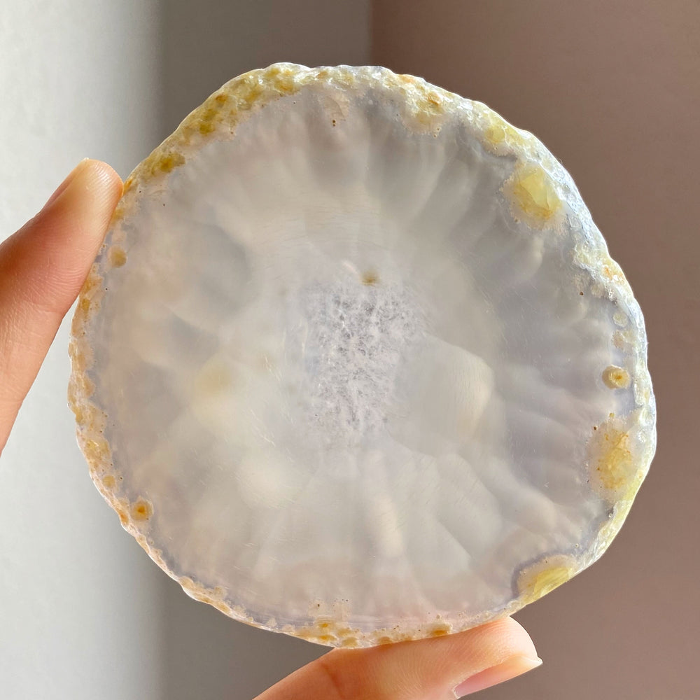 Agate Plate/Slice/Disc AGS05
