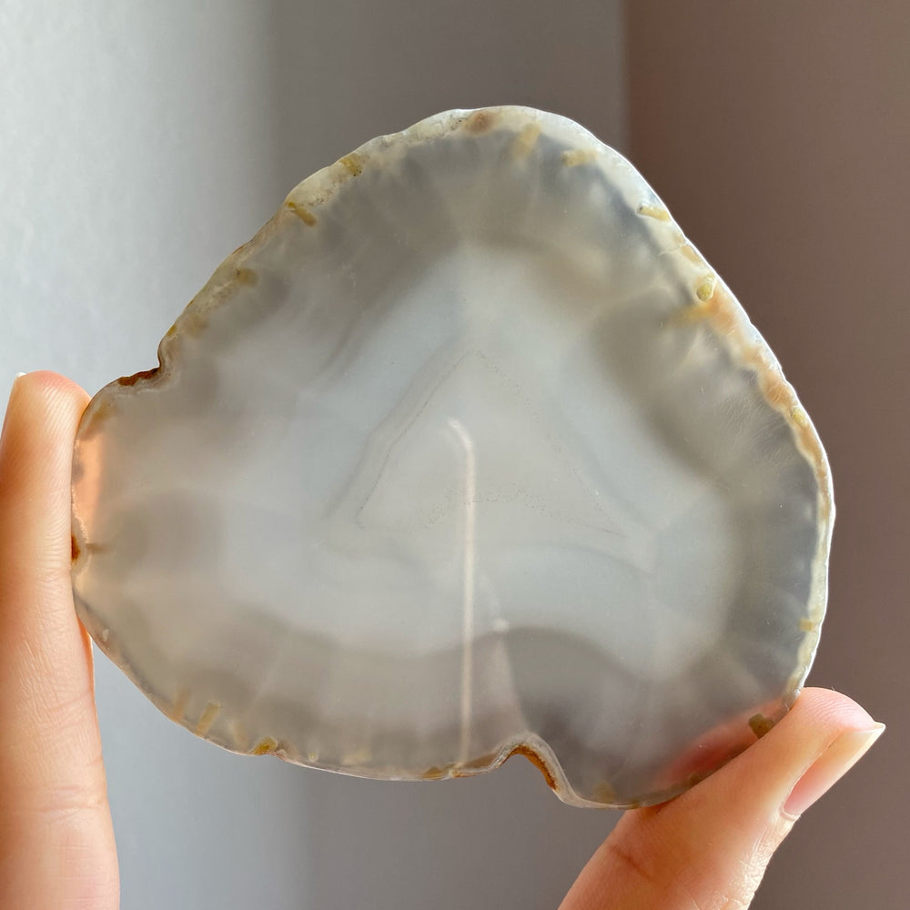 Agate Plate/Slice/Disc AGS08