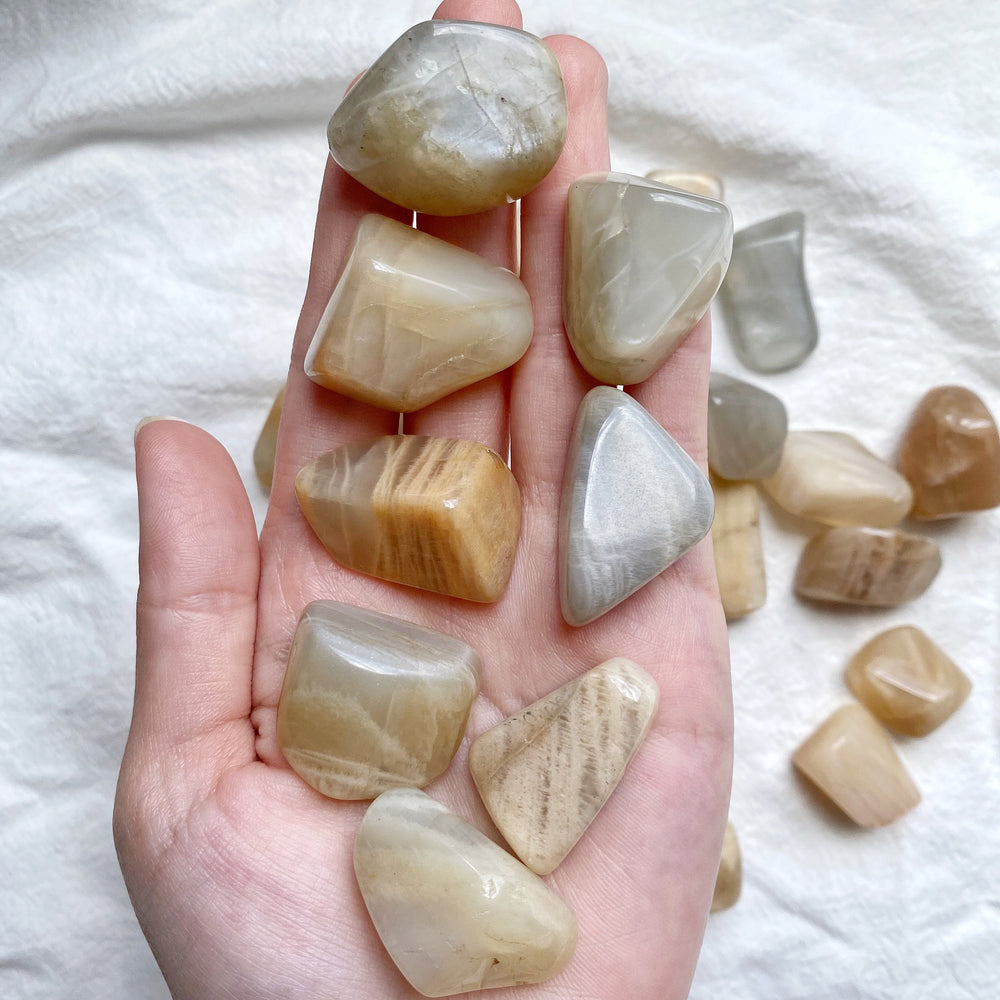 Assorted Moonstone (free-form) Tumbled Stones