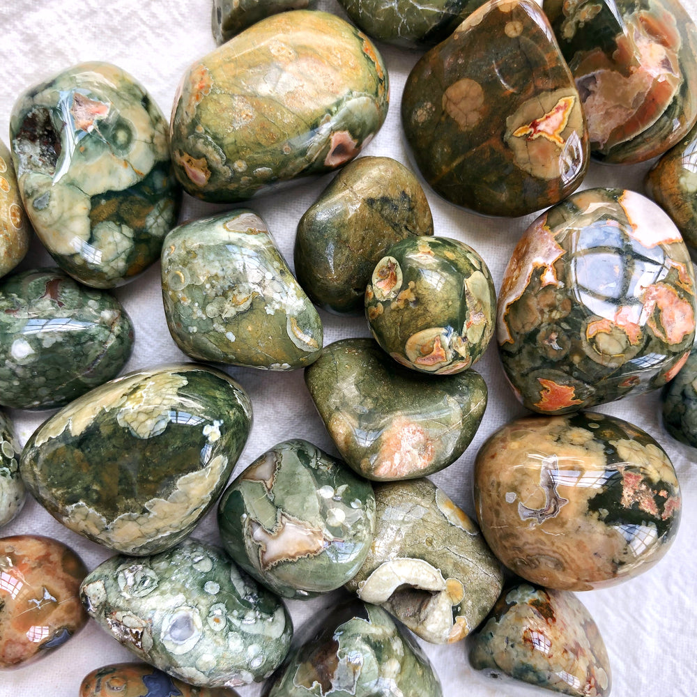 Rainforest Jasper (Rhyolite) Tumbled Stones