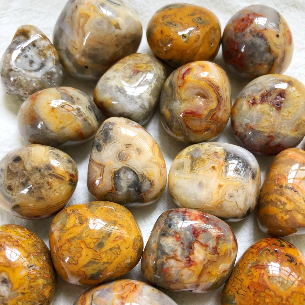 Crazy Lace Agate (Yellow) Tumbled Stones